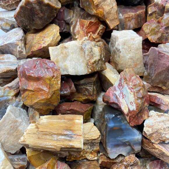 1 pound rough raw petrified wood pieces for tumbling - Picture 3 of 3